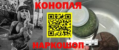винт Партизанск