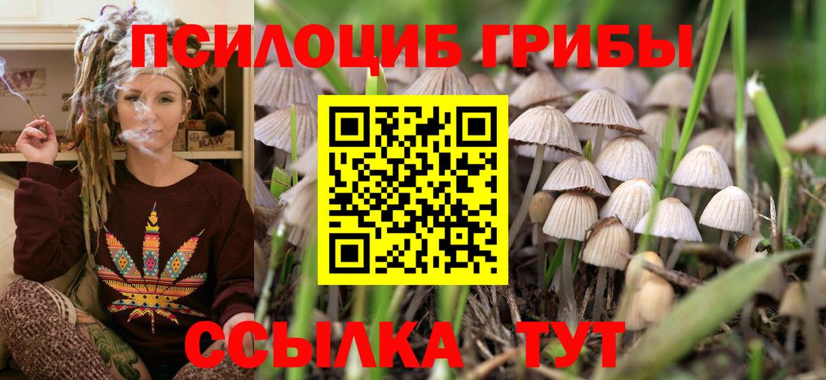 Орск  Галлюциногенные грибы Cubensis  Вход с VPN 